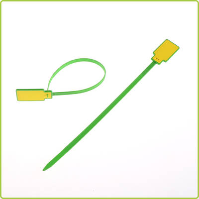 Plastic RFID Cable Tie Tag For Asset Management-Z003